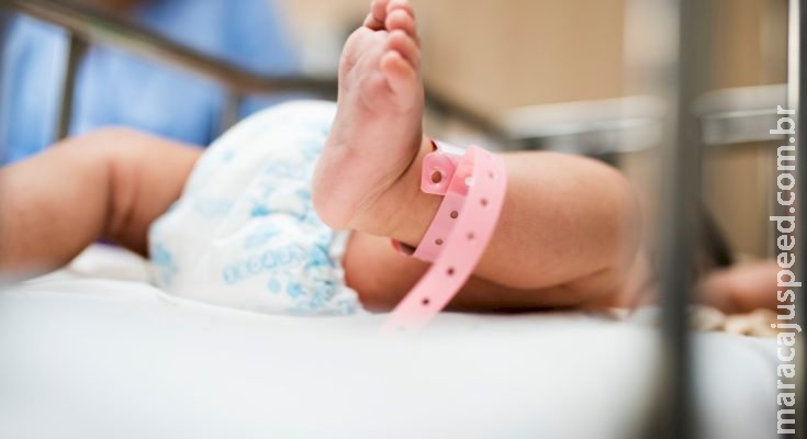 Recém-nascido morre após ser pisoteado em Santa Catarina