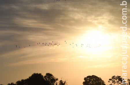 Terça-feira tem previsão de altas temperaturas e probabilidade de chuvas em MS