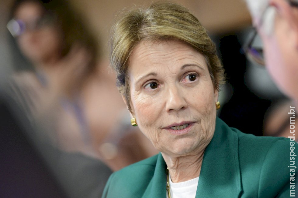 Tereza Cristina ganha força no PP para disputa à presidência em 2026 Tereza Cristina ganha força no PP para disputa à presidência em 2026