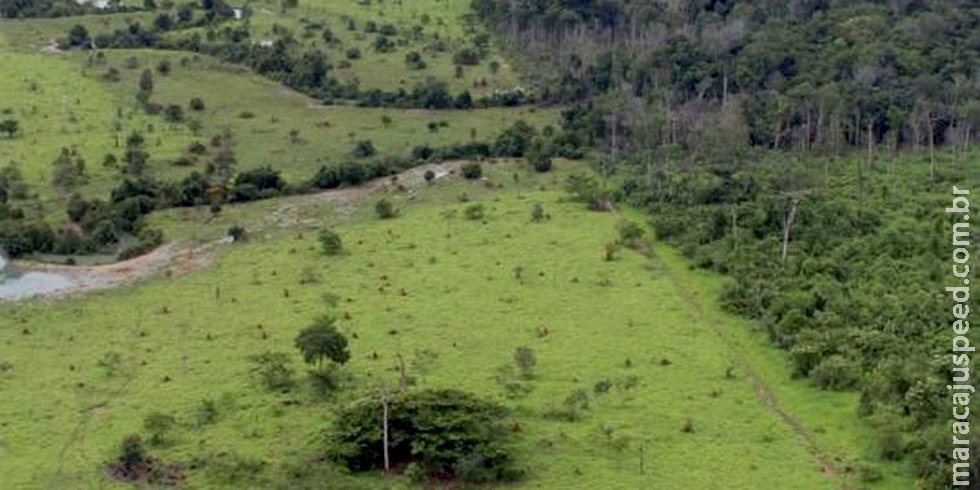 Termina nesta sexta entrega da Declaração do Imposto Territorial Rural Termina nesta sexta entrega da Declaração do Imposto Territorial Rural