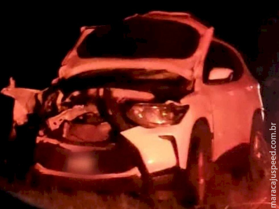 Veículo fica destruído após atropelar anta na rodovia BR-267 em Jardim Veículo fica destruído após atropelar anta na rodovia BR-267 em Jardim