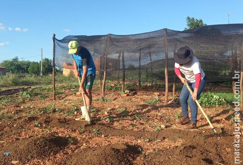 Vencimento de dívidas de pequenos agricultores pode ser prorrogado até 2025