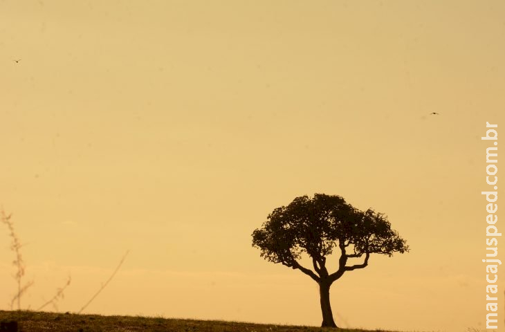 Ar quente e úmido gera possibilidade de chuvas em MS nesta terça-feira 