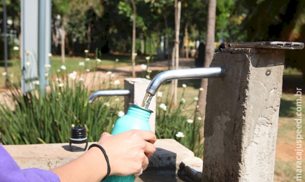 Calor pode provocar desidratação, confusão mental e desmaios em idosos