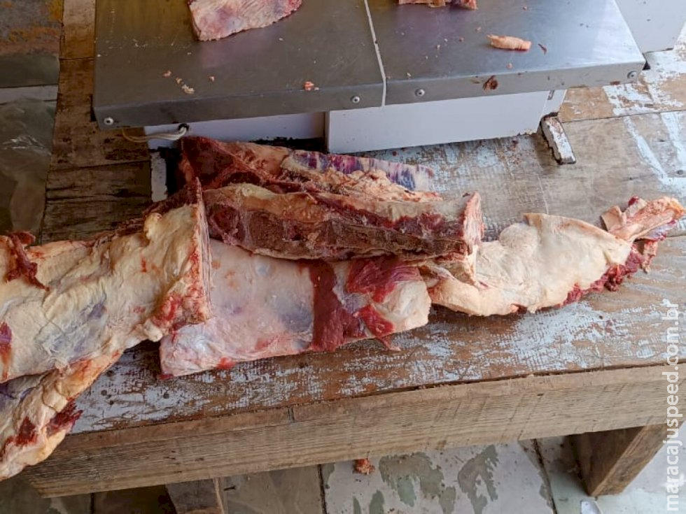 Carne abatida e comercializada de forma clandestina é apreendida em MS