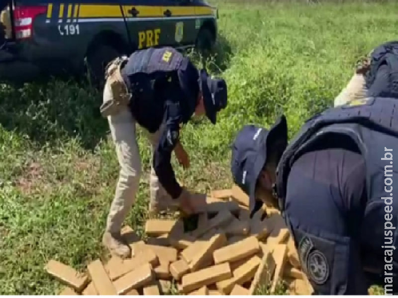 Carro capota na BR 060 em Sidrolândia com mais 700Kg de Maconha e 22Kg de skunk 