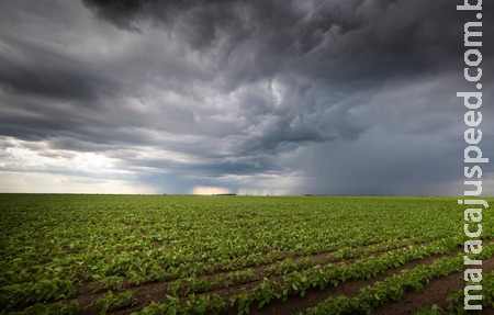 Chuva abundante traz alívio aos Produtores de Soja em Sidrolândia e boa parte do MS