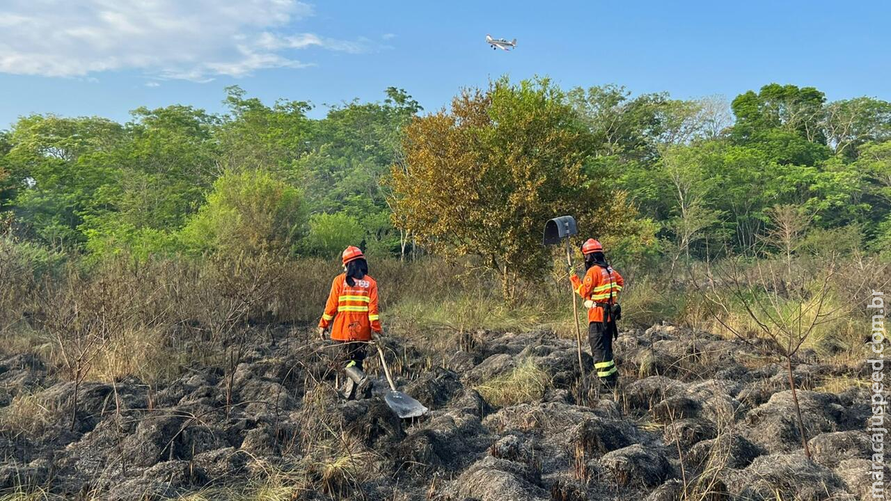 Chuva ajuda em extinção de incêndios no Pantanal de Corumbá