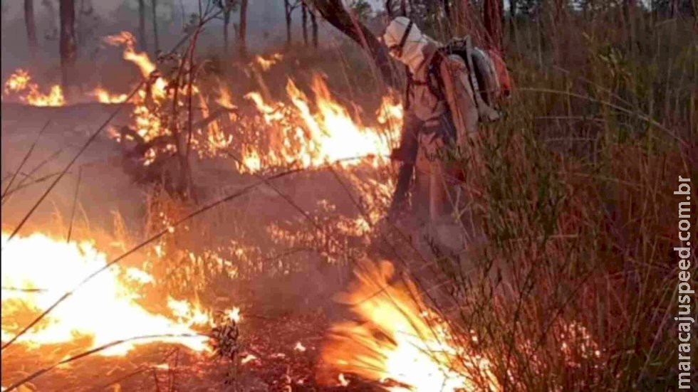Com calor intenso, incêndio já atingiu 260 mil hectares do Pantanal em MS e MT