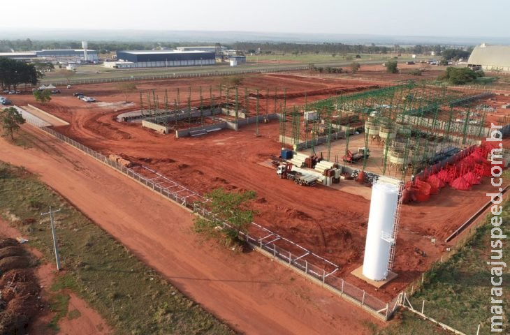 Cooperativa lança obra da indústria de amendoim e soja que deve operar no próximo ano em MS