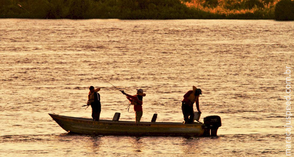 Defeso da Piracema começa dia 5 de novembro em MS e último fim de semana de pesca exige cuidados