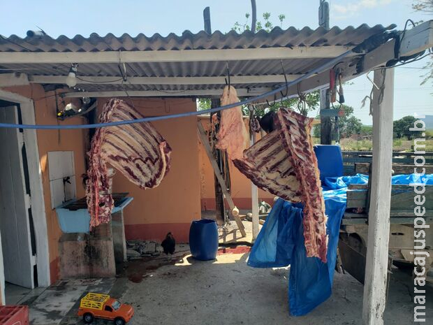 Dois comerciantes são presos por abate e venda de carne clandestina em Corumbá Dois comerciantes são presos por abate e venda de carne clandestina em Corumbá