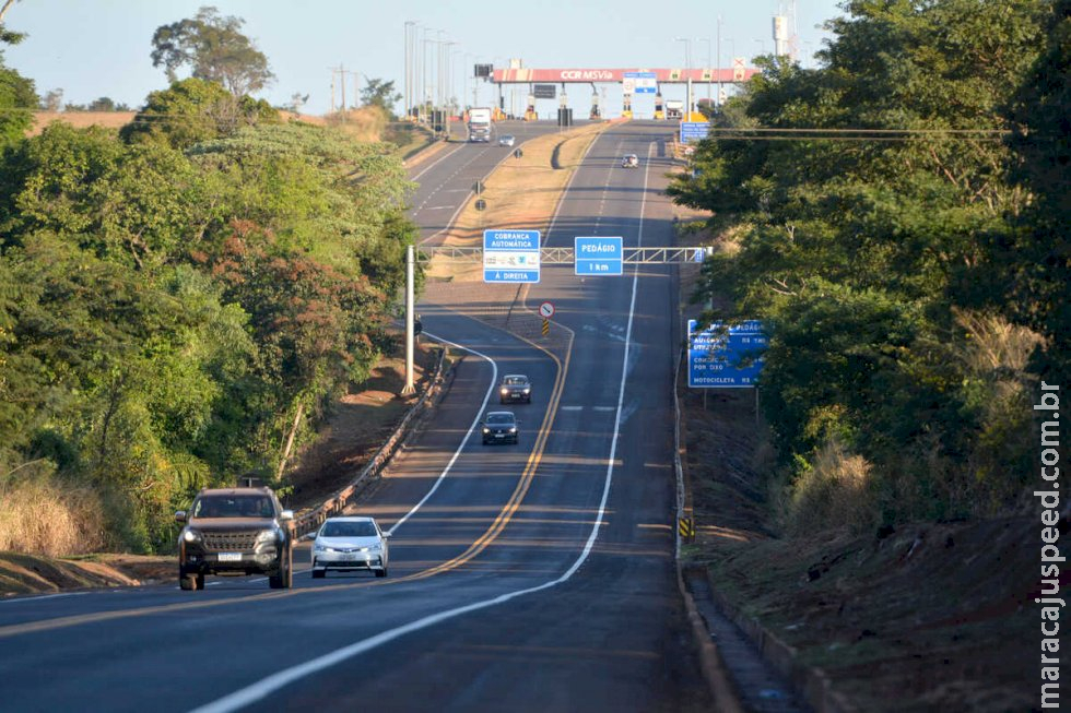 Em MS, uso de drogas ilícitas por motoristas preocupa PRF Em MS, uso de drogas ilícitas por motoristas preocupa PRF