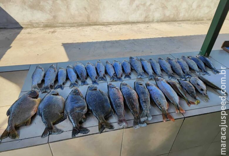 Homem é multado e preso pela prática de pesca predatória Homem é multado e preso pela prática de pesca predatória