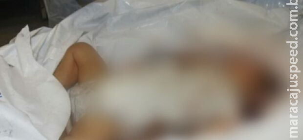 Israel divulga foto de bebê morto pelo grupo terrorista Hamas Israel divulga foto de bebê morto pelo grupo terrorista Hamas