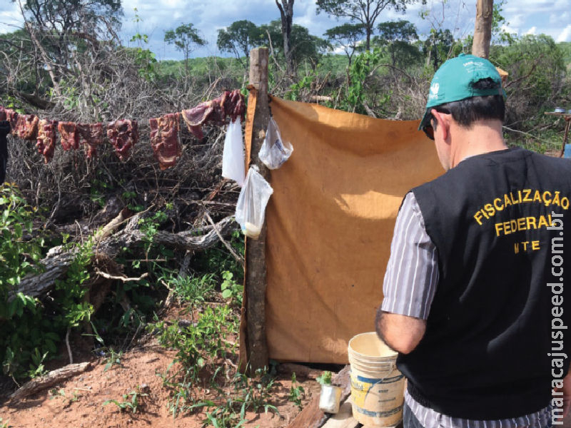 Lista do trabalho escravo tem cervejaria e recorde de empregadores