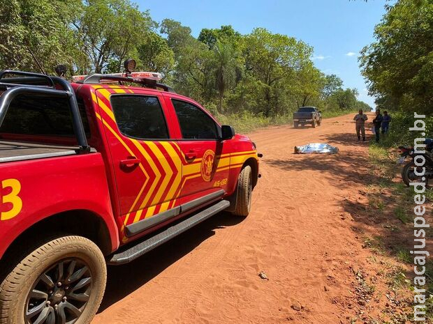Motociclista bate em anta e morre em Aquidauana Motociclista bate em anta e morre em Aquidauana