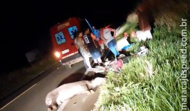Motociclista fica ferido ao se chocar em anta na MS-178 Motociclista fica ferido ao se chocar em anta na MS-178
