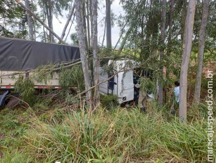 Motorista perde controle, carreta sai da pista e colide com eucalipto na BR-376 Motorista perde controle, carreta sai da pista e colide com eucalipto na BR-376