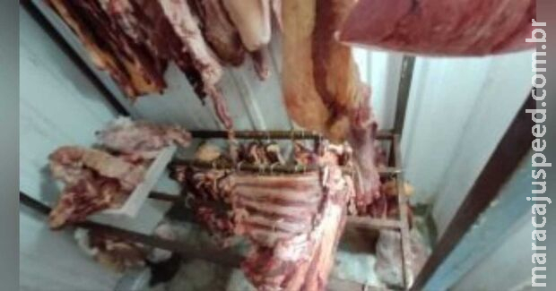 Polícia apreende mais de três toneladas de carne imprópria para consumo em mercado de Ladário Polícia apreende mais de três toneladas de carne imprópria para consumo em mercado de Ladário
