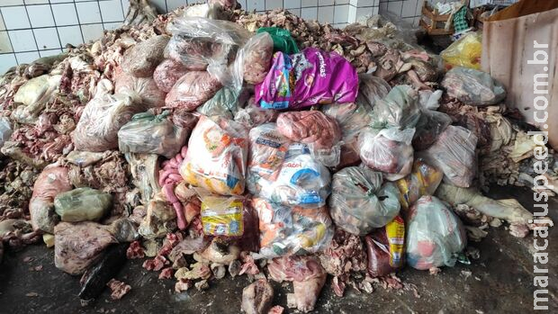 Polícia apreende meia tonelada de carne imprópria para consumo em mercado de Miranda Polícia apreende meia tonelada de carne imprópria para consumo em mercado de Miranda