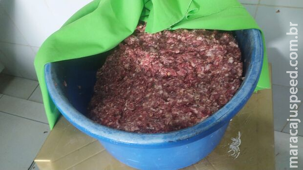 Polícia lacra açougue de um mercado em Bonito Polícia lacra açougue de um mercado em Bonito
