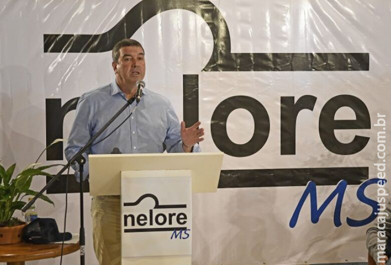 Riedel reafirma compromisso com desenvolvimento econômico na posse da diretoria da Nelore MS Riedel reafirma compromisso com desenvolvimento econômico na posse da diretoria da Nelore MS