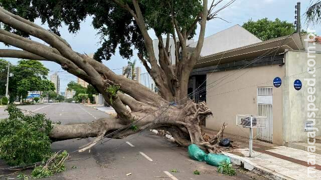 Ventos chegaram aos 95 km por hora e MS tem novo alerta de temporal