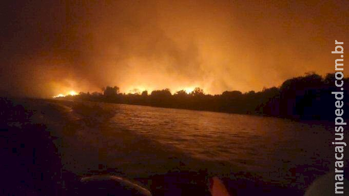 Após incêndios suspenderem as atividades, chuva traz esperanças para o turismo no Pantanal Após incêndios suspenderem as atividades, chuva traz esperanças para o turismo no Pantanal