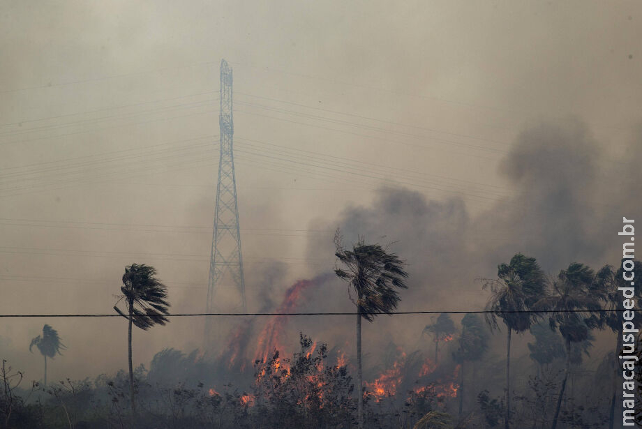 Atípico, fogo no pantanal em novembro assusta e cerca moradores em meio à seca Atípico, fogo no pantanal em novembro assusta e cerca moradores em meio à seca