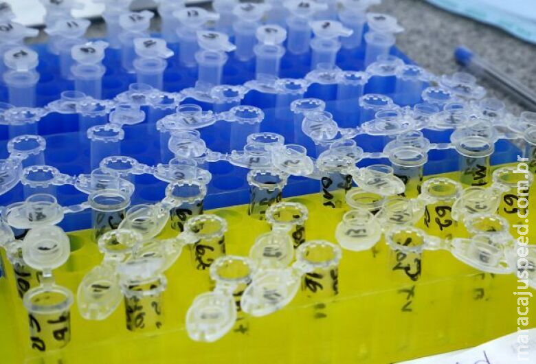 Bebê de nove meses é uma das três vítimas da Covid em MS