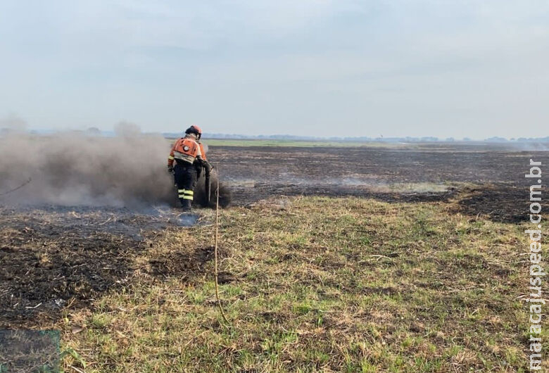 Bombeiros de MS fazem força-tarefa para controlar incêndios no Pantanal