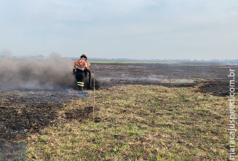 Bombeiros de MS fazem força-tarefa para controlar incêndios no Pantanal Bombeiros de MS fazem força-tarefa para controlar incêndios no Pantanal