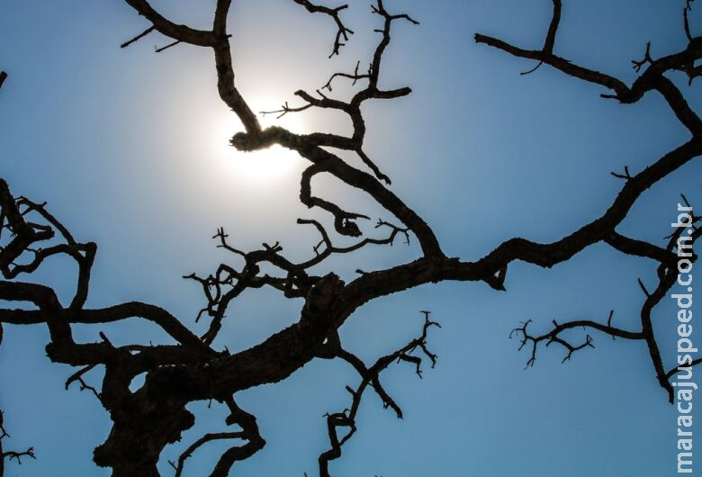 Brasil registra recorde da temperatura média pelo quarto mês seguido