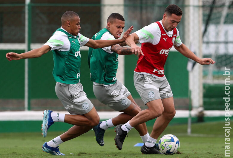 Brasileirão volta hoje com Palmeiras em busca da ponta e luta contra rebaixamento