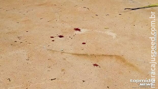 Briga por maus-tratos termina a pedrada e machadada entre irmãos e sobrinho na Vila Taveirópolis Briga por maus-tratos termina a pedrada e machadada entre irmãos e sobrinho na Vila Taveirópolis