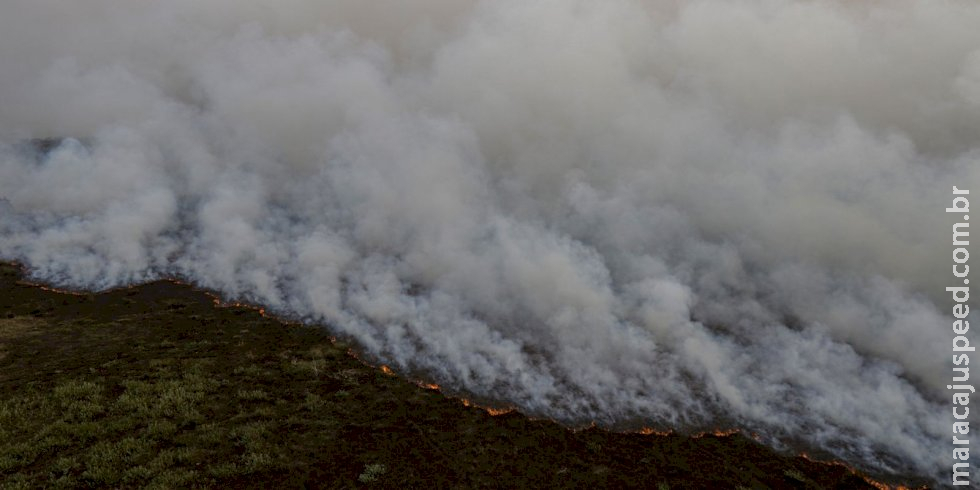 Brigadistas intensificam trabalho de combate a incêndios no Pantanal Brigadistas intensificam trabalho de combate a incêndios no Pantanal