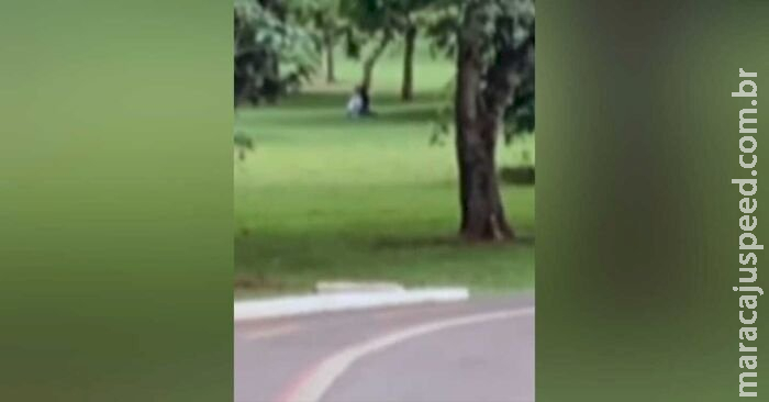 Casal é flagrado fazendo sexo no meio do Parque das Nações Indígenas em plena luz do dia Casal é flagrado fazendo sexo no meio do Parque das Nações Indígenas em plena luz do dia