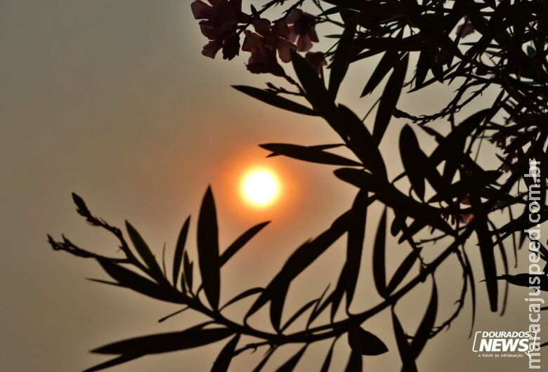 Cidades de MS registram as temperaturas mais altas do país