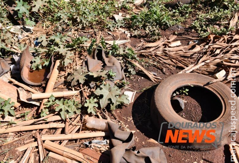 Com 40 vítimas no ano, Saúde investiga duas mortes por dengue em MS