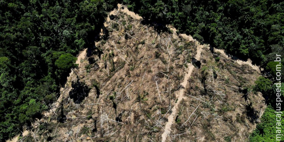 COP28 aprova fundo climático de perdas e danos para países vulneráveis COP28 aprova fundo climático de perdas e danos para países vulneráveis