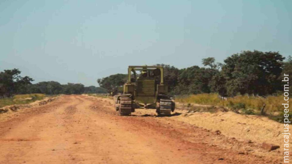 Desmatamento desenfreado no Pantanal impulsionou onda de calor em MS