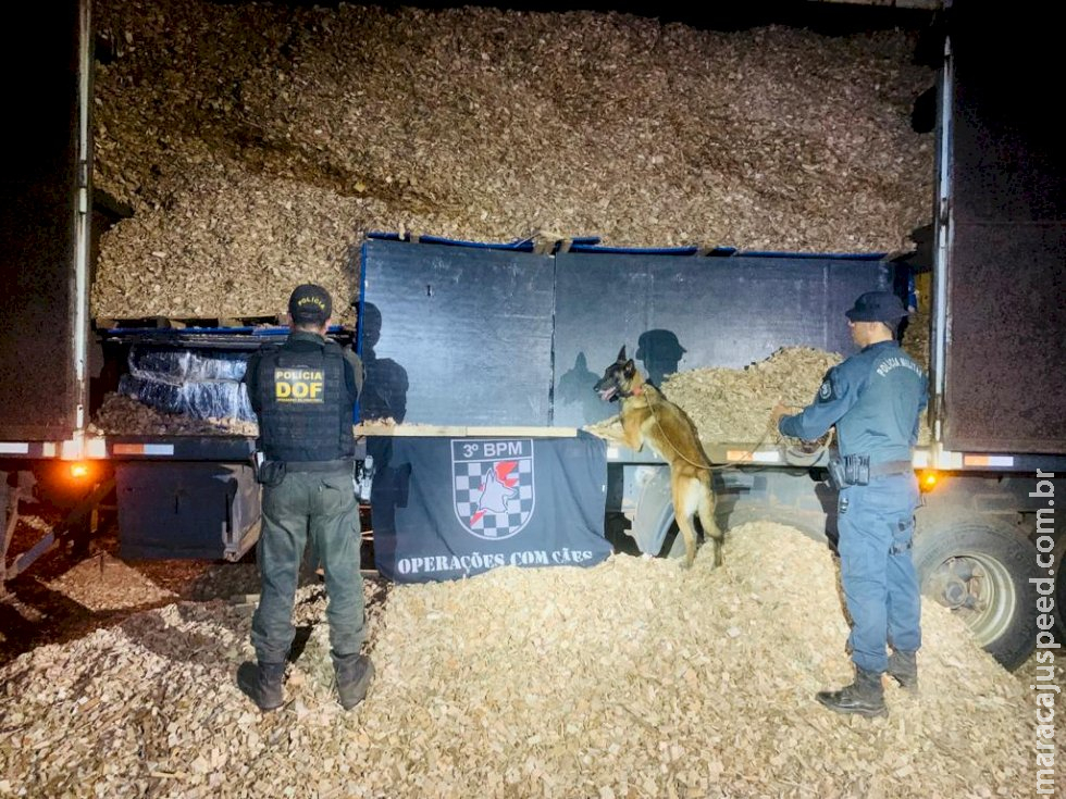 DOF apreende mais de cinco toneladas de drogas na MS-156 em Caarapó DOF apreende mais de cinco toneladas de drogas na MS-156 em Caarapó