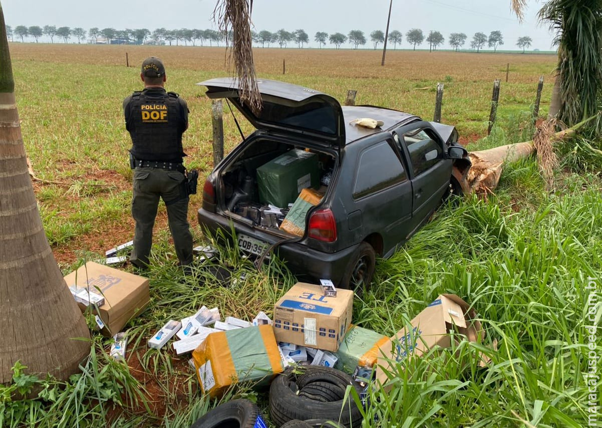 DOF apreende quase meio milhão de reais em materiais de contrabando e descaminho em Laguna Carapã DOF apreende quase meio milhão de reais em materiais de contrabando e descaminho em Laguna Carapã