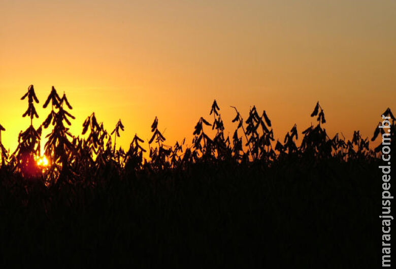 El Niño pode durar pelo menos até abril de 2024, estima ONU