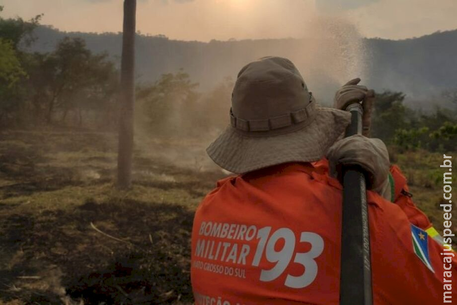 Focos de queimadas no Pantanal são zerados e equipes fazem monitoramento Focos de queimadas no Pantanal são zerados e equipes fazem monitoramento
