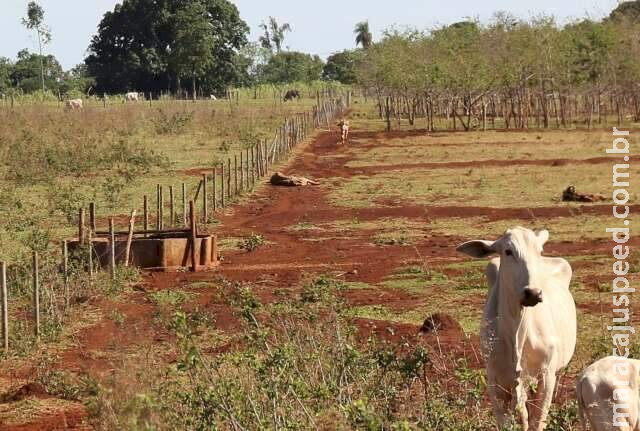 Governo Federal promete recuperar 40 milhões de hectares degradadas