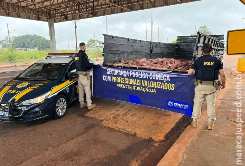 Homem é preso ao transportar droga em fundo falso de caminhão Homem é preso ao transportar droga em fundo falso de caminhão