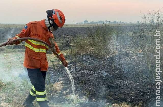Incêndios no Pantanal triplicam em comparação com mesmo perídio do ano passado Incêndios no Pantanal triplicam em comparação com mesmo perídio do ano passado