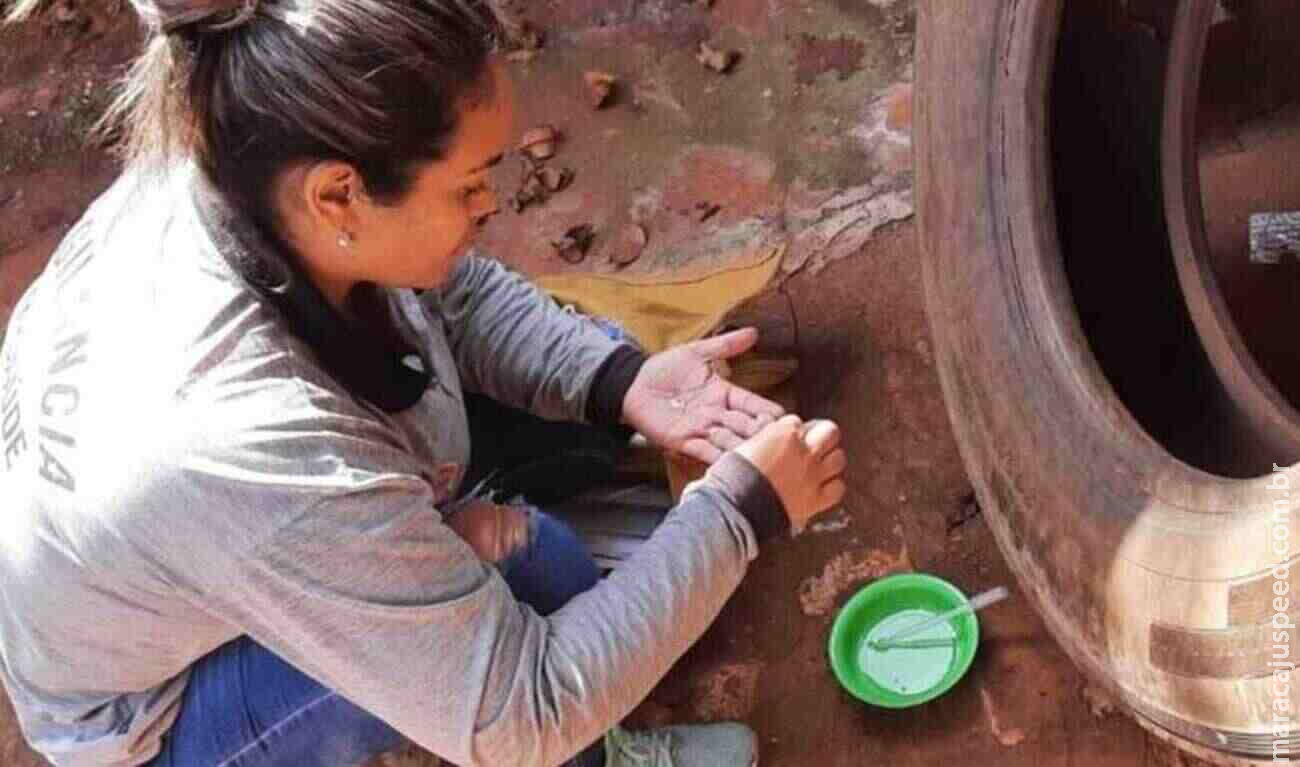 MS possui 74 municípios com alta incidência de dengue e se aproxima dos 50 mil casos